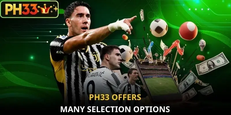PH33 offers many selection options